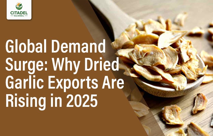 Global Demand Surge: Why Dried Garlic Exports Are Rising in 2025