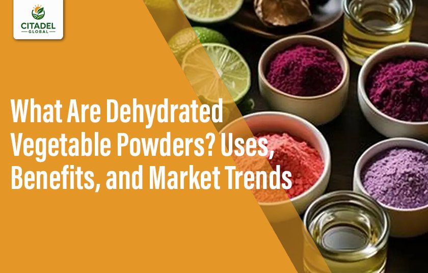 What Are Dehydrated Vegetable Powders? Uses, Benefits, and Market Trends