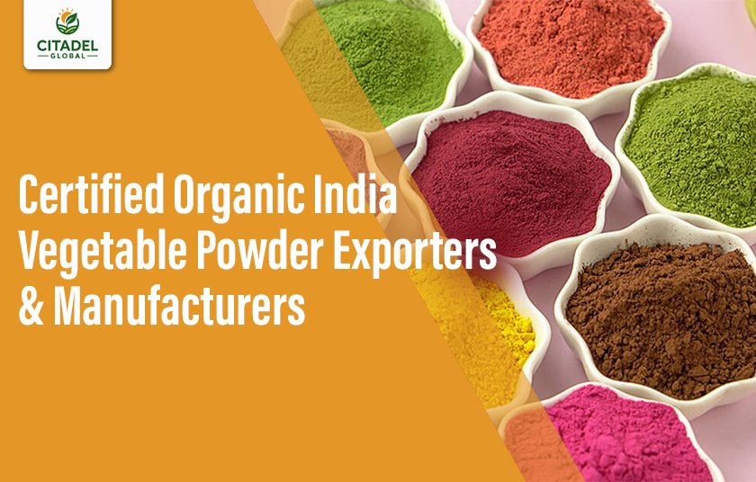 Certified Organic India Vegetable Powder Exporters & Manufacturers