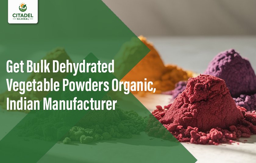 Get Bulk Dehydrated Vegetable Powders – Organic, Indian Manufacturer