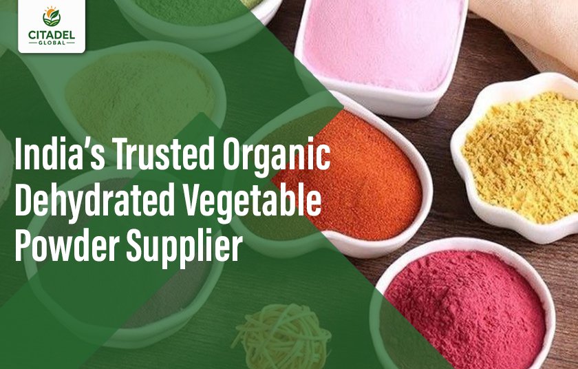 India’s Trusted Organic Dehydrated Vegetable Powder Supplier