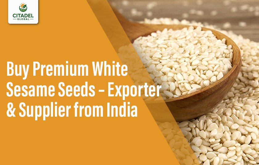 Buy Premium White Sesame Seeds – Exporter & Supplier from India