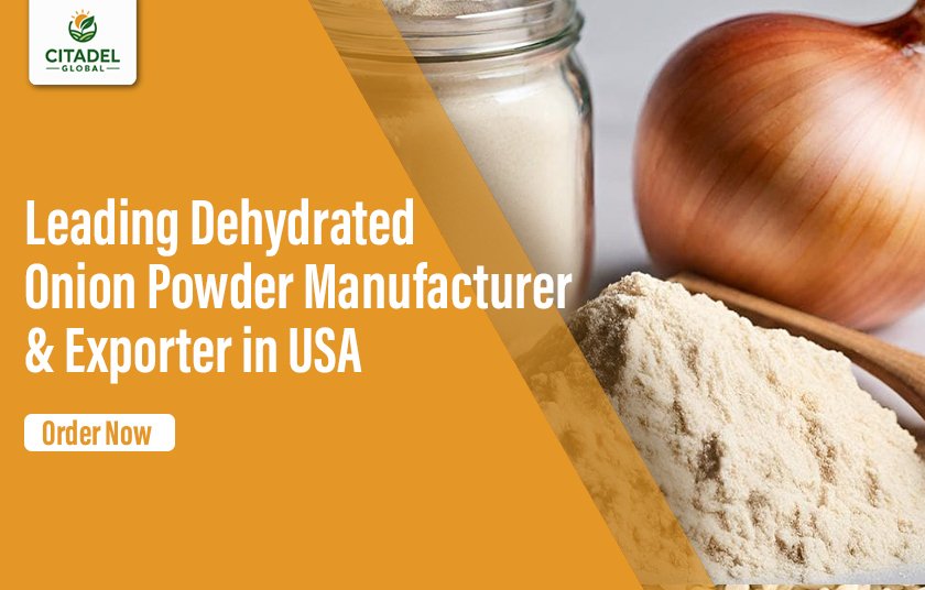 Leading Dehydrated Onion Powder Manufacturer & Exporter in USA
