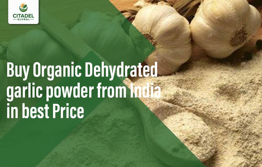 Buy Organic Dehydrated garlic powder from India in best Price