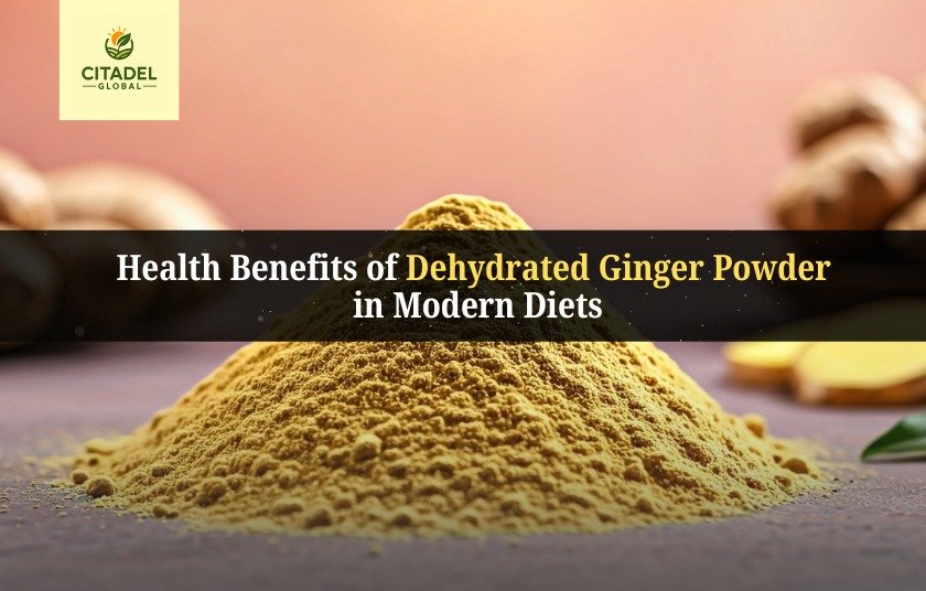 Health Benefits of Dehydrated Ginger Powder in Modern Diets