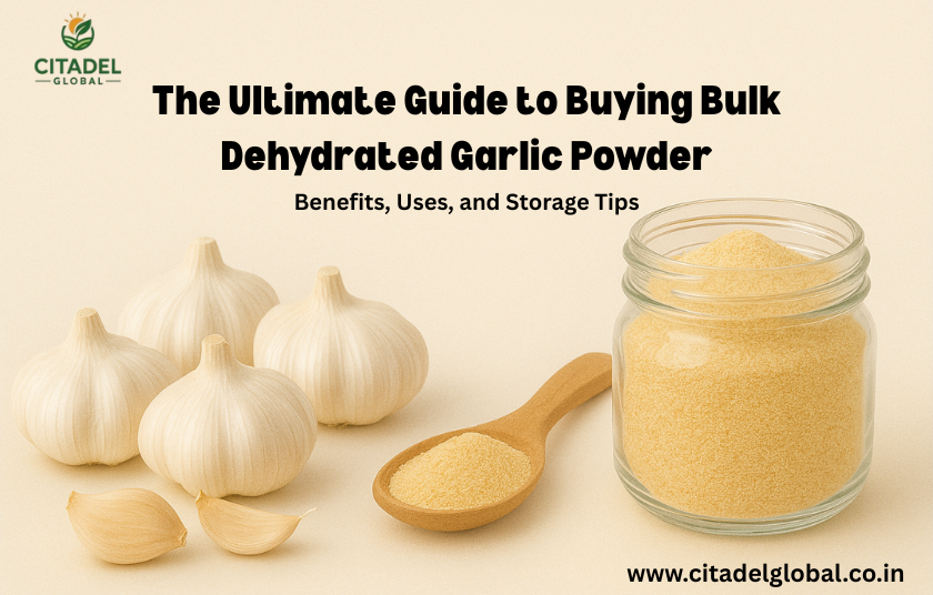 The Ultimate Guide to Buying Bulk Dehydrated Garlic Powder (Benefits, Uses & Storage Tips)