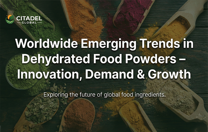 Worldwide Emerging Trends in Dehydrated Food Powders – Innovation, Demand & Growth