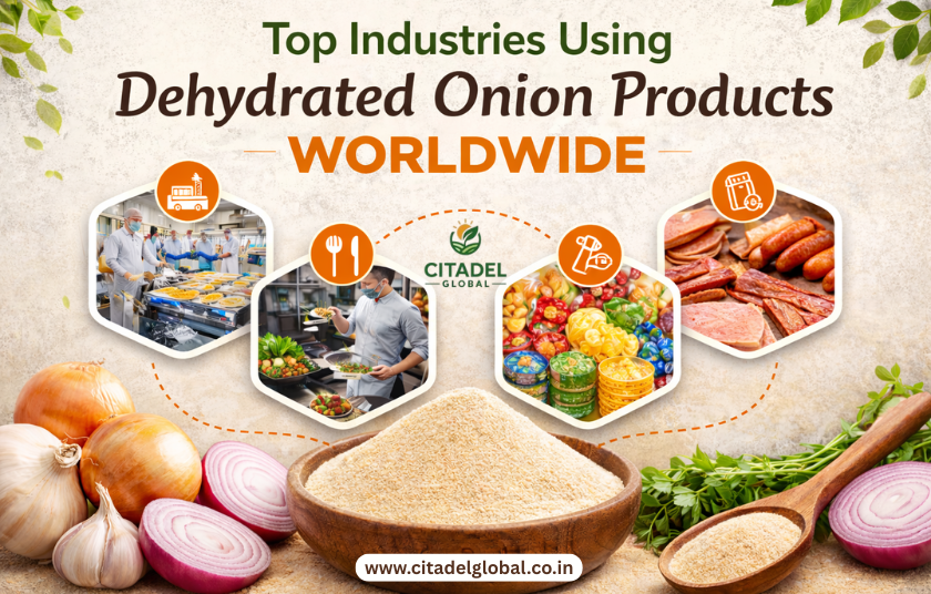 Top Industries Using Dehydrated Onion Products Worldwide
