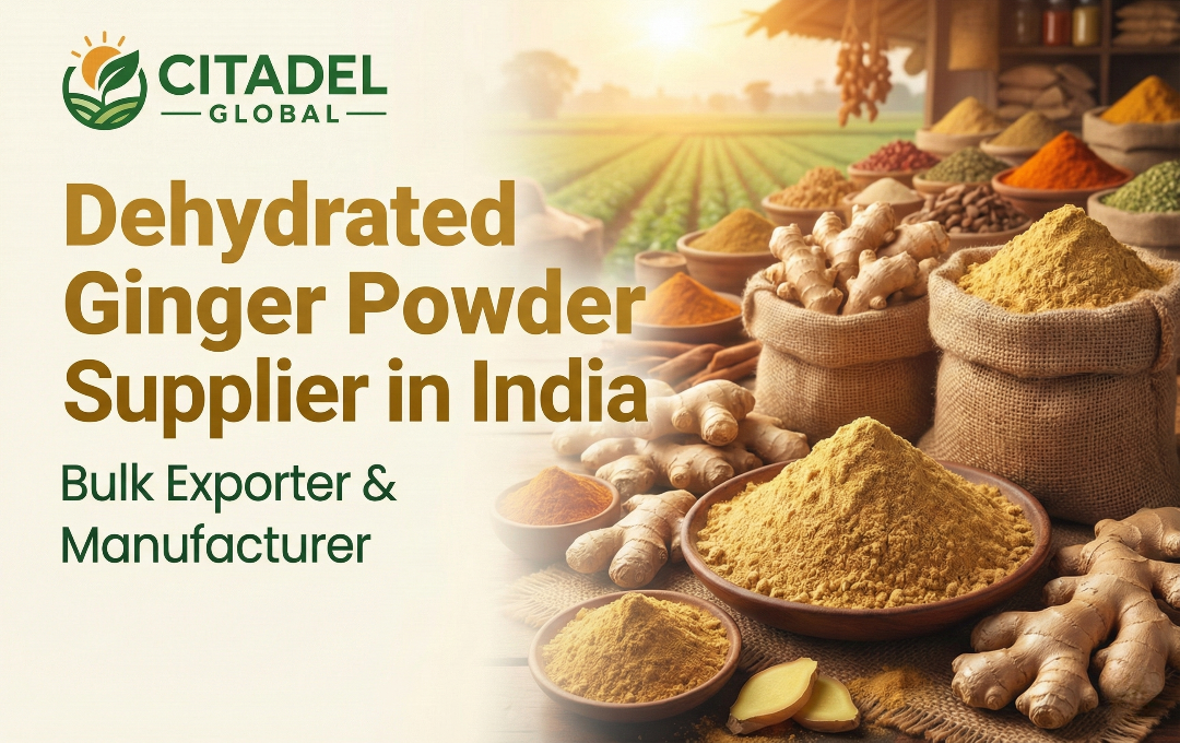 Dehydrated Ginger Powder Supplier in India – Bulk Exporter & Manufacturer