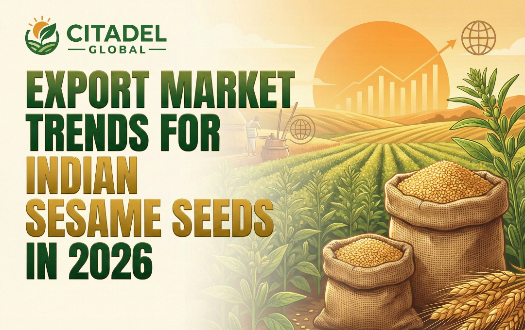 Export Market Trends for Indian Sesame Seeds in 2026
