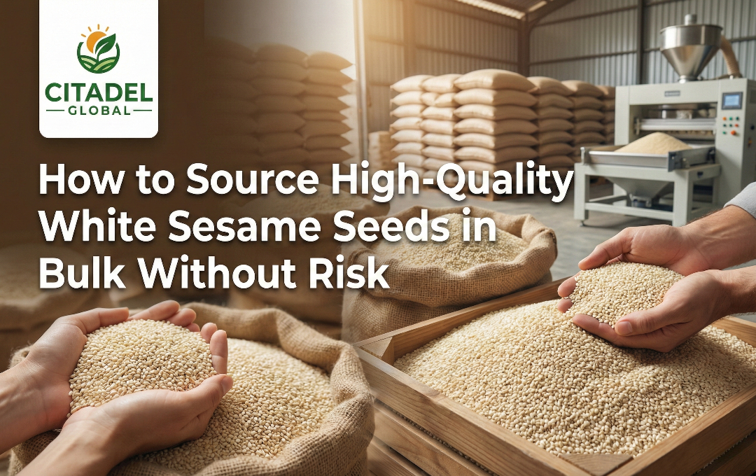How to Source High-Quality White Sesame Seeds in Bulk Without Risk