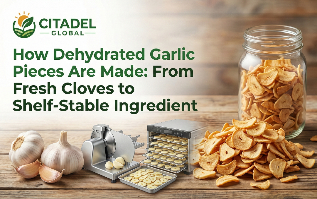 How Dehydrated Garlic Pieces Are Made: From Fresh Cloves to Shelf-Stable Ingredient