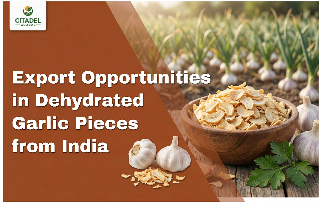 Export Opportunities in Dehydrated Garlic Pieces from India